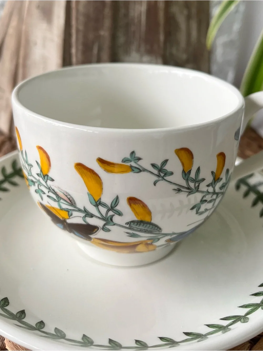 Portmeirion Botanic Garden cup and saucer SET Cytisus Scoparius / Broom
